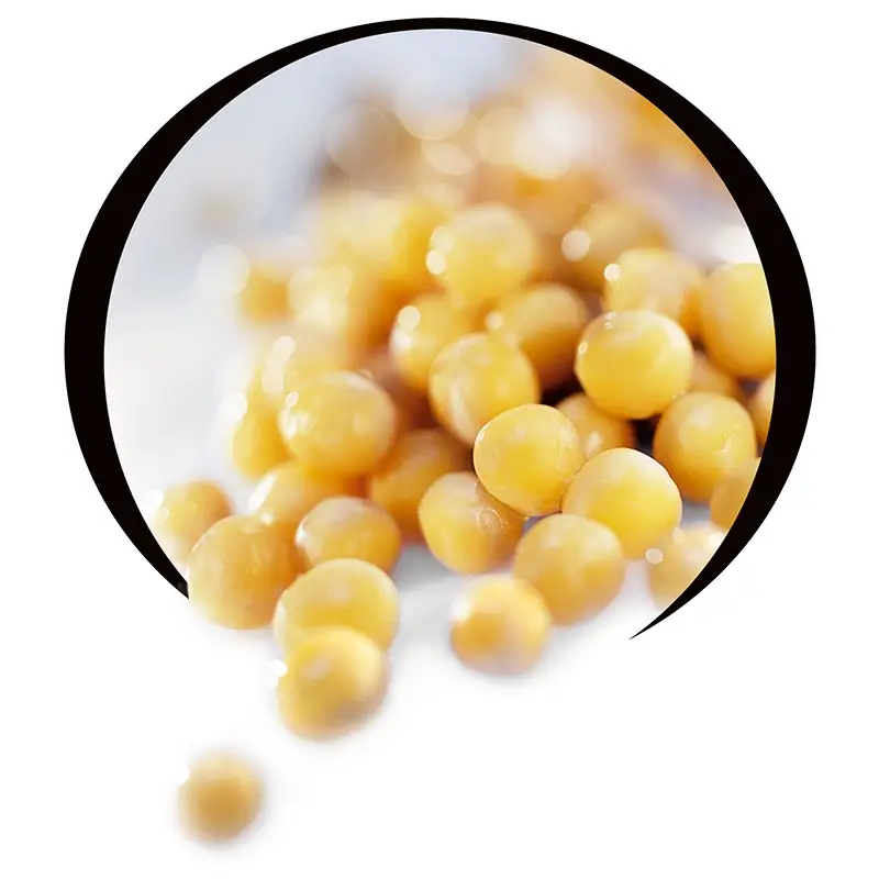 Gula Ärtor Torkade 1 x 5 kg från Go green | #101310 | Ärtor & Linser