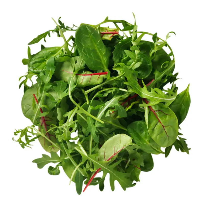 Napolimix Sallad 4 x 500 g från Chefs Cut | #107184 | Grönsaker