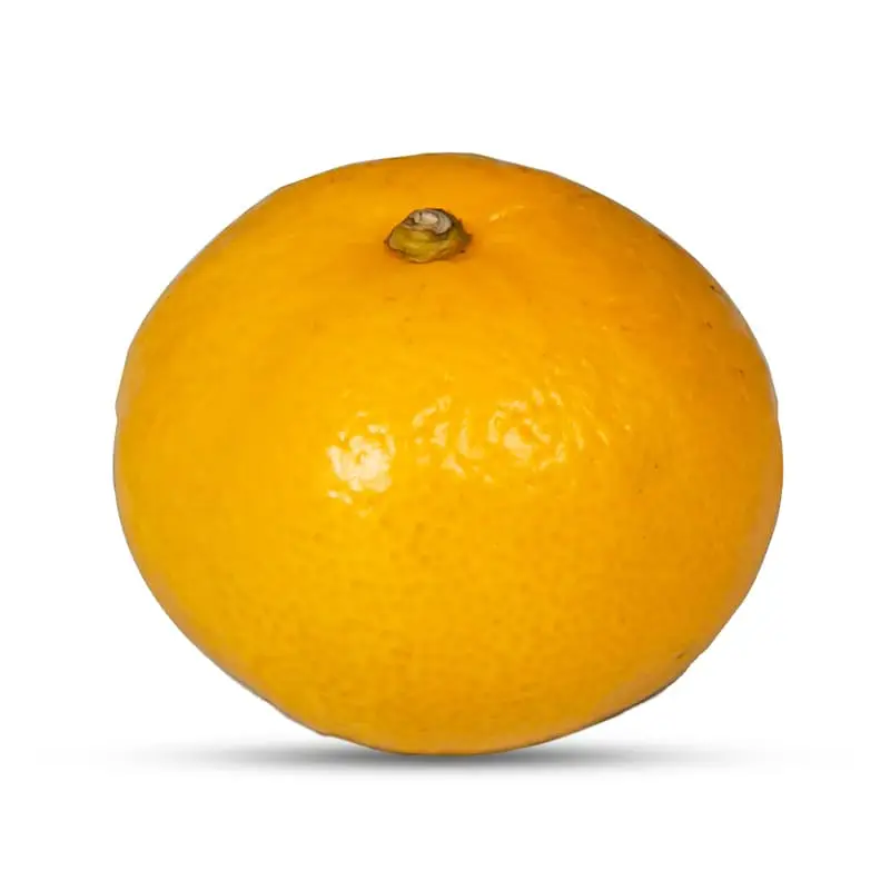Satsumas Storlek 3 10 kg från Everfresh | #103714 | Frukt
