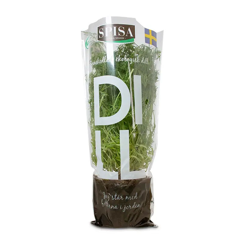 Dill Kruka 12 st från Everfresh | #112215 | Färska örter & Kryddor