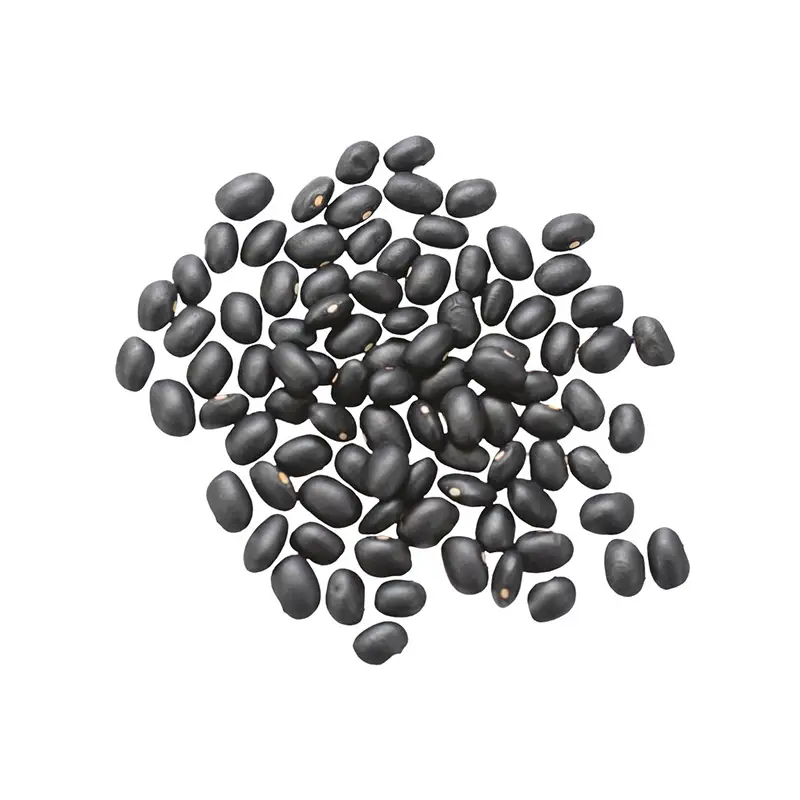 Svarta Bönor Torkade SE 1 x 4 kg från Go green | #142125 | Bönor