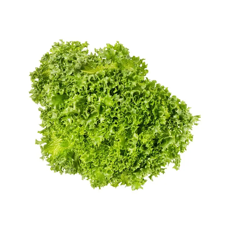 Sallad Crisp Påse 9st 9 x 200 g från Everfresh | #113691 | Grönsaker
