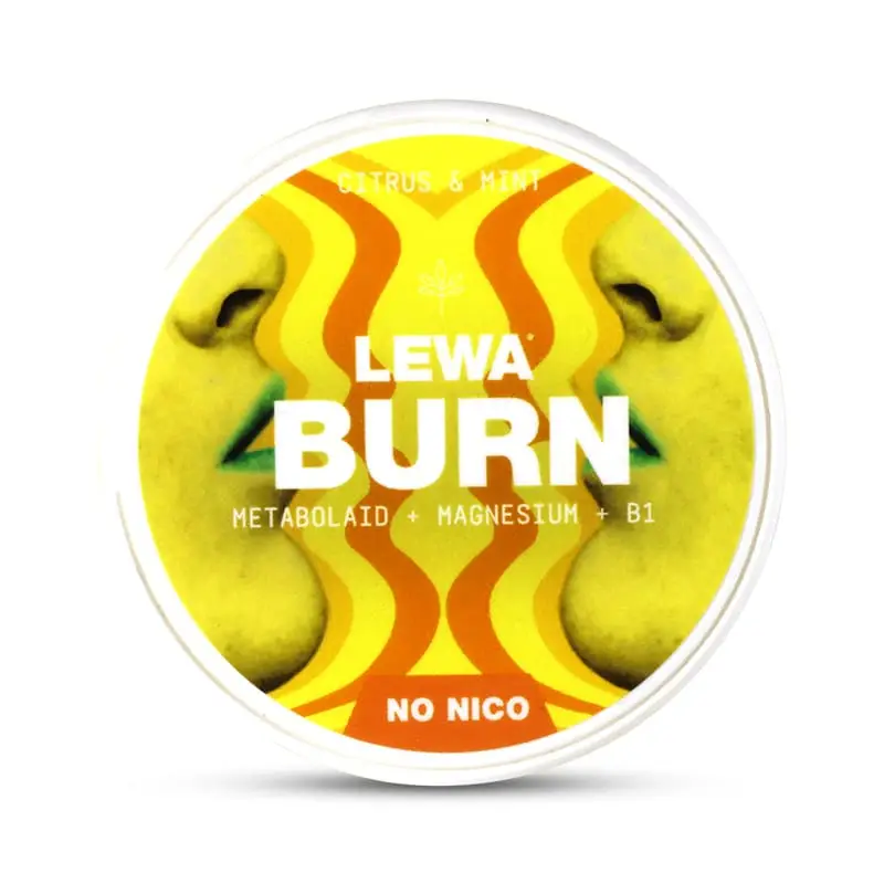 Burn Citrus Mint 10 st från LEWA OF SWEDEN | #231109 | Snus