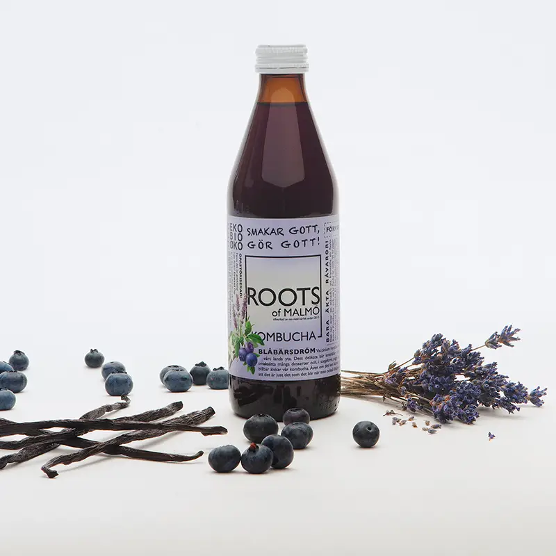 Kombucha Blåbärsdröm 15 x 33 cl från Roots of Malmö | #019 | Kombucha