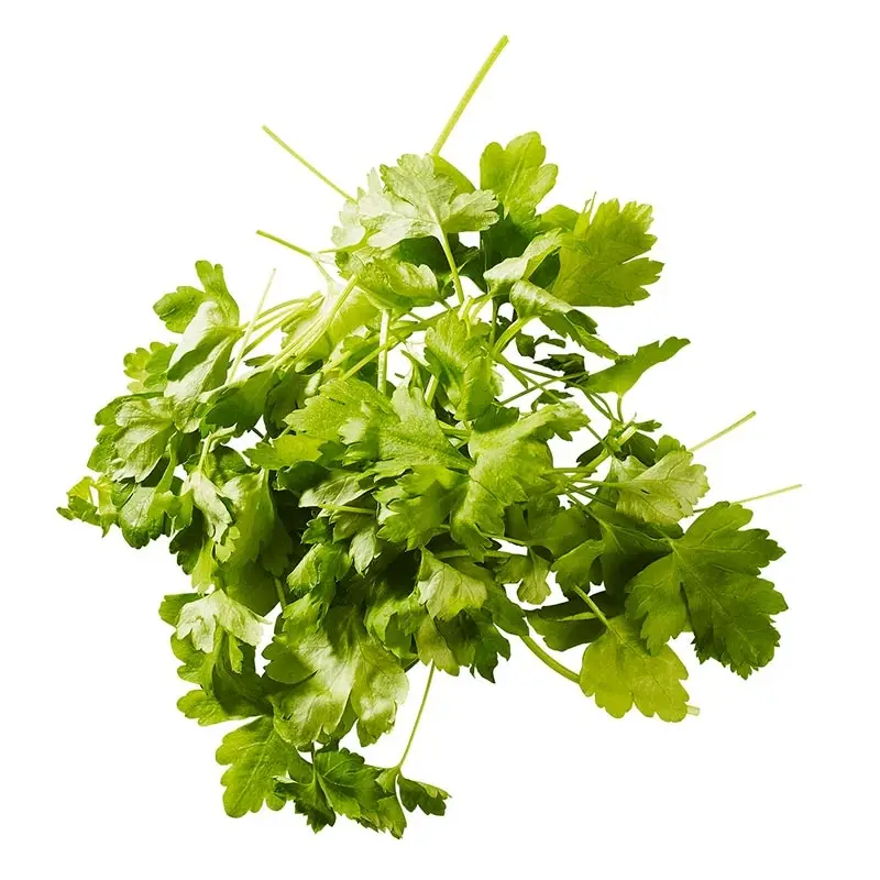 Persilja Blad Flow 5 x 250 g från Everfresh | #114265 | Färska örter & Kryddor