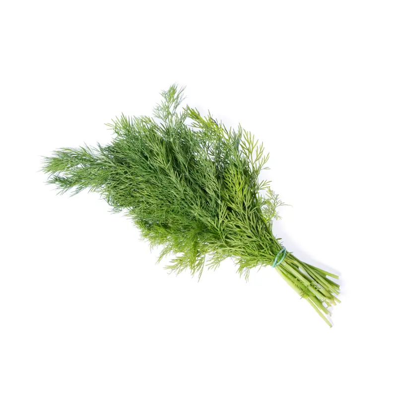 Dill Flow 8 x 20 g från Everfresh | #112215 | Färska örter & Kryddor