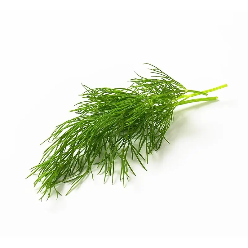 Dill Flow 5 x 250 g från Everfresh | #116868 | Färska örter & Kryddor