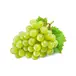 Druva Grön Kärnfri 10 x 500 g från Everfresh | #102364 | Frukt
