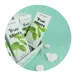 Pastill Mint 18 x 1 st från True Mints | #101 | Halstabletter