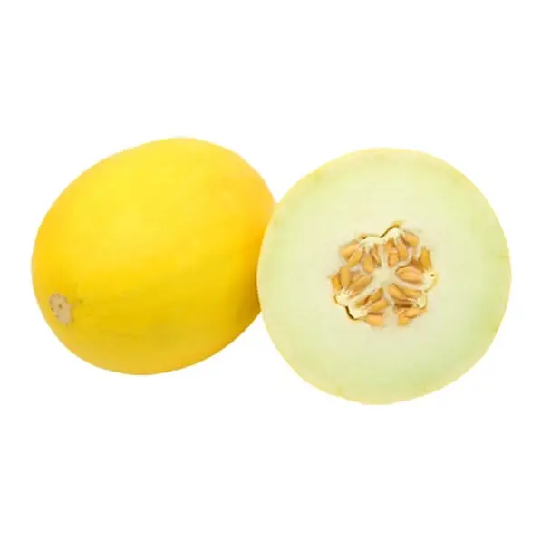 Honungsmelon 8-12st 10 kg från Everfresh | #102860 | Frukt