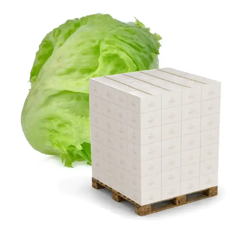 Isbergssallad 450g HELPALL 48 x 12 st från Everfresh | #104953PALL | Grönsaker