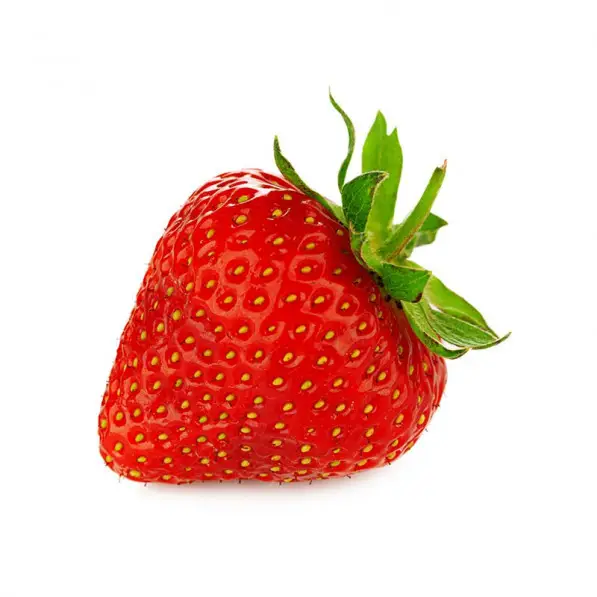 Jordgubbar i Ask 8 x 500 g från Everfresh | #101082 | Bär