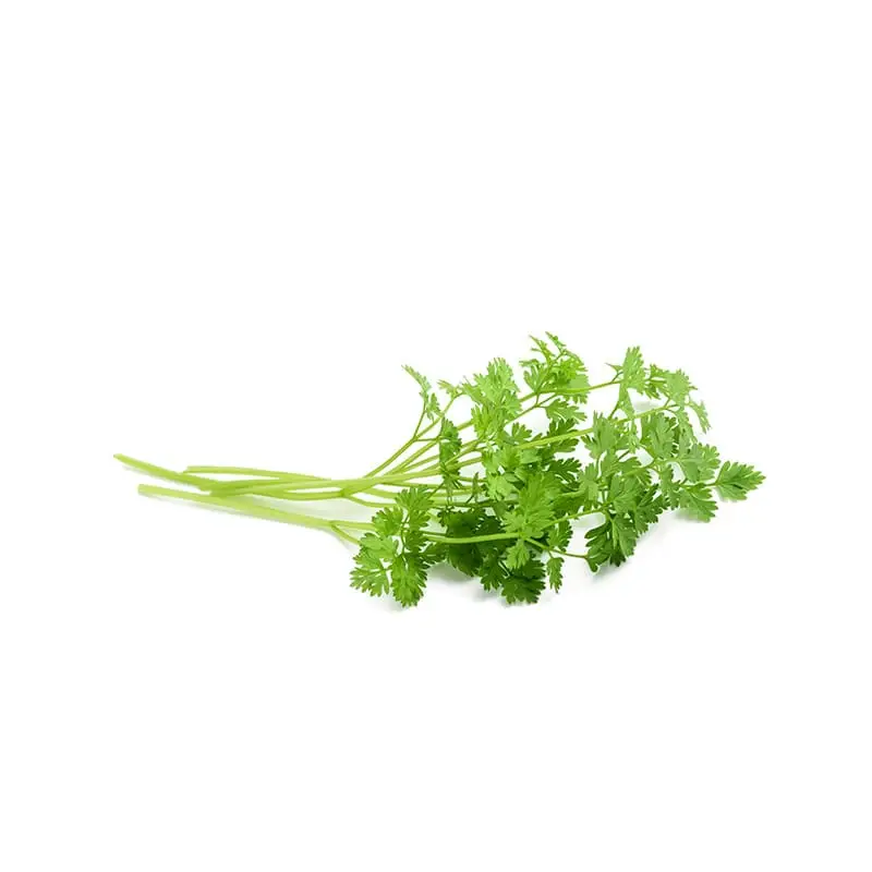Körvel 50 g från Everfresh | #104566 | Färska örter & Kryddor