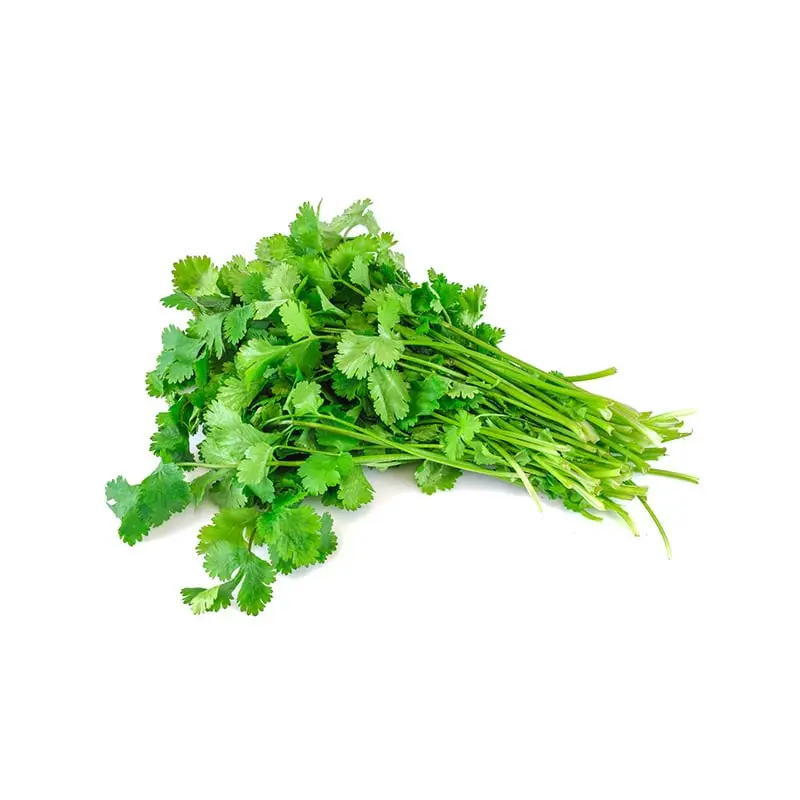 Koriander 1 x 50 g från Everfresh | #104574 | Färska örter & Kryddor