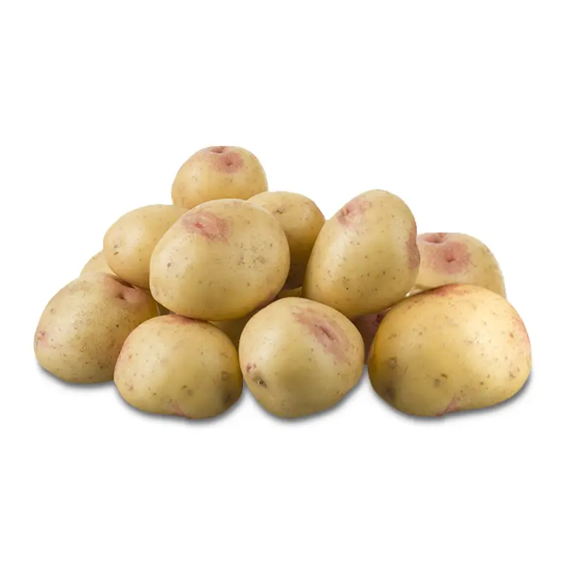 Potatis King Edward rullpall 200 kg från Everfresh | #109314 | Rotfrukter