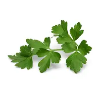 Persilja blad Flow