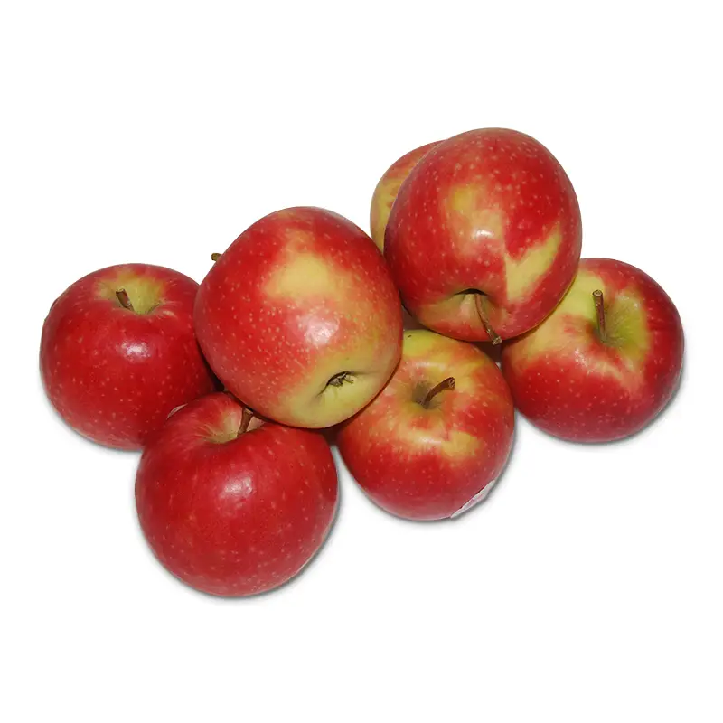 Äpple Pink Lady 65/70 12.5 kg från Everfresh | #108751 | Frukt