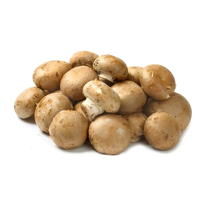 Svamp Skogschampinjoner 3 kg från Everfresh | #105219 | Grönsaker