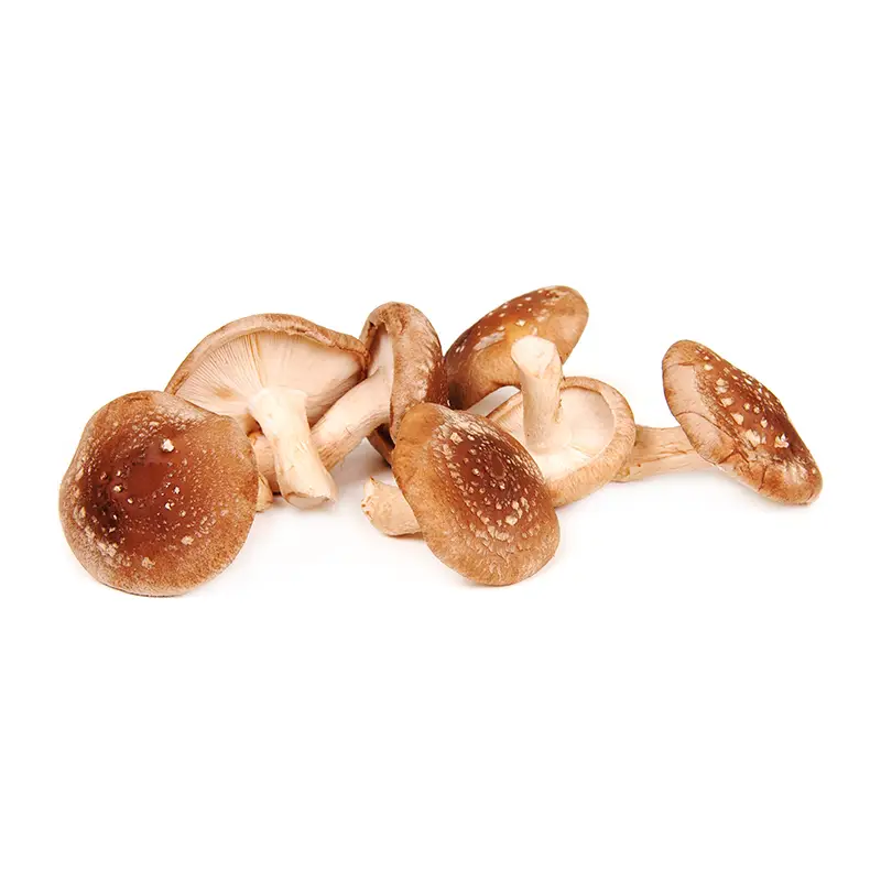 Svamp Shiitake 2 kg från Everfresh | #112164 | Grönsaker
