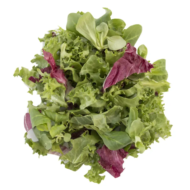 Provence Sallad 4 x 500 g från Chefs Cut | #104327 | Grönsaker