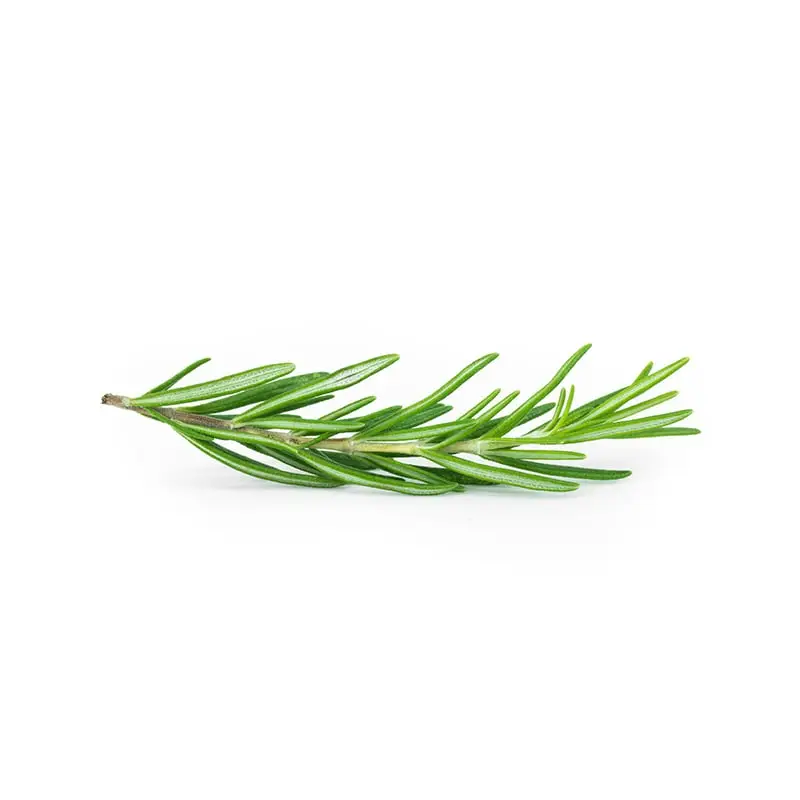 Rosmarin 50 g från Everfresh | #104827 | Färska örter & Kryddor