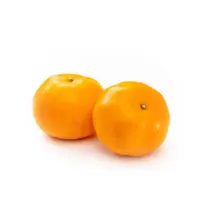 Satsumas strl 1-3