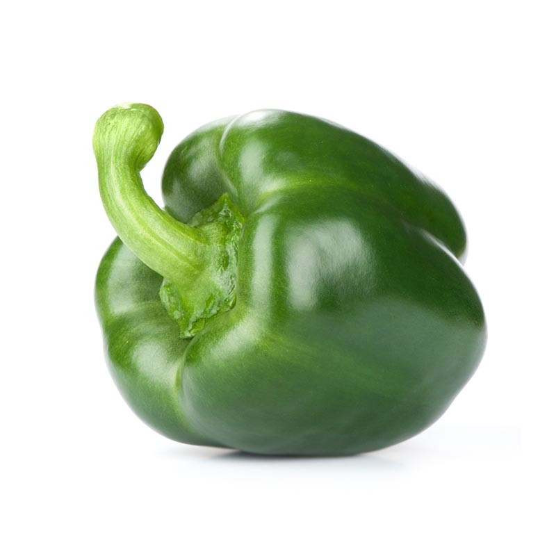 Grön Paprika från Everfresh | Grönsaker | Grossist, Distributör ...